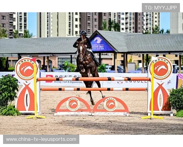 瑞士马术协会推出马匹健康管理系统,提升马匹福利。,瑞士马术俱乐部 瑞士马术协会推出马匹健康管理系统,提升马匹福利。,瑞士马术俱乐部